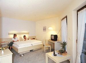 Hotel Zum Schwan Mettlach Mettlach - Pensionhotel - Hotely
