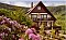 Ubytování v soukromí Haus Rheintalblick Sasbachwalden / Brandmatt
