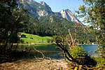 Ramsau lyžování