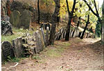 Židovský hřbitov Mikulov