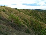 Mohelenská hadcová step