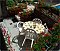 Ubytování Penzion Hoffmann Praha Praha - Pensionhotel - Penziony
