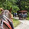 Ubytování HIPPOCLUB Lednice Lednice - Pensionhotel - Penziony
