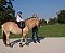 Ubytování HIPPOCLUB Lednice Lednice - Pensionhotel - Penziony