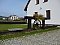 Praktik Penzion *** Ubytování Krumlov Český Krumlov - Pensionhotel - Penziony