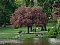 Ubytování Penzion Am Park Berlin Charlottenburg Berlín - Pensionhotel - Penziony